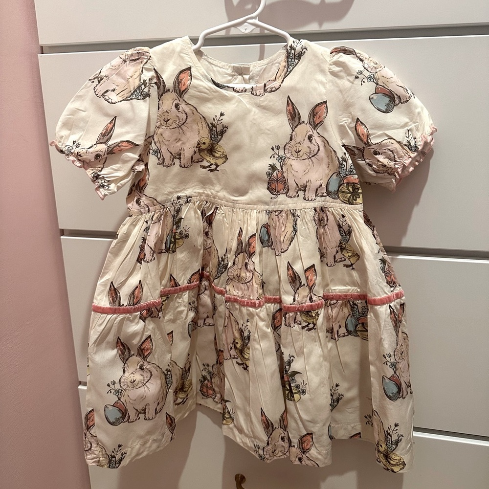 Pink Chicken Bunny Friend Dress - Size 4